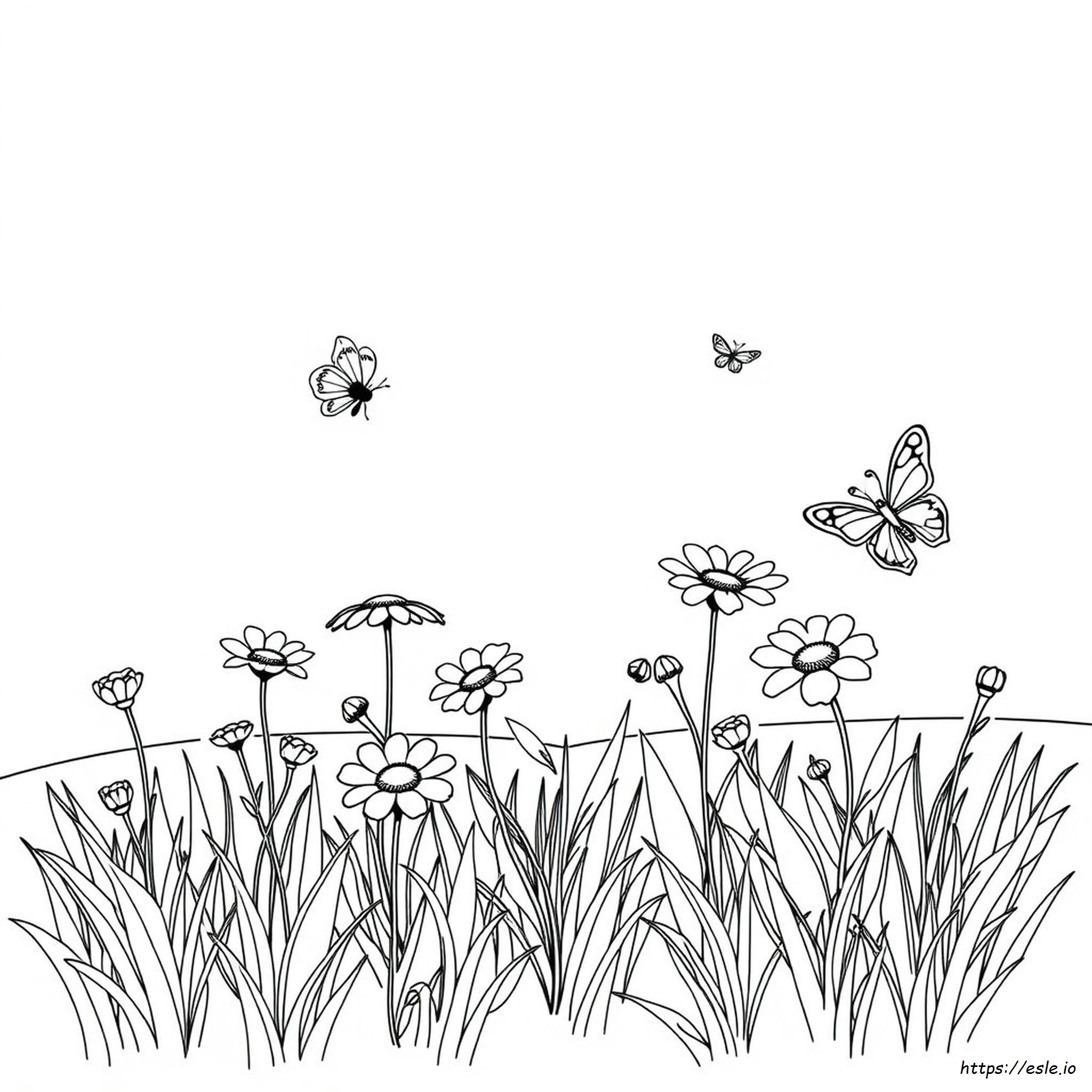 Magenta Coloring Page