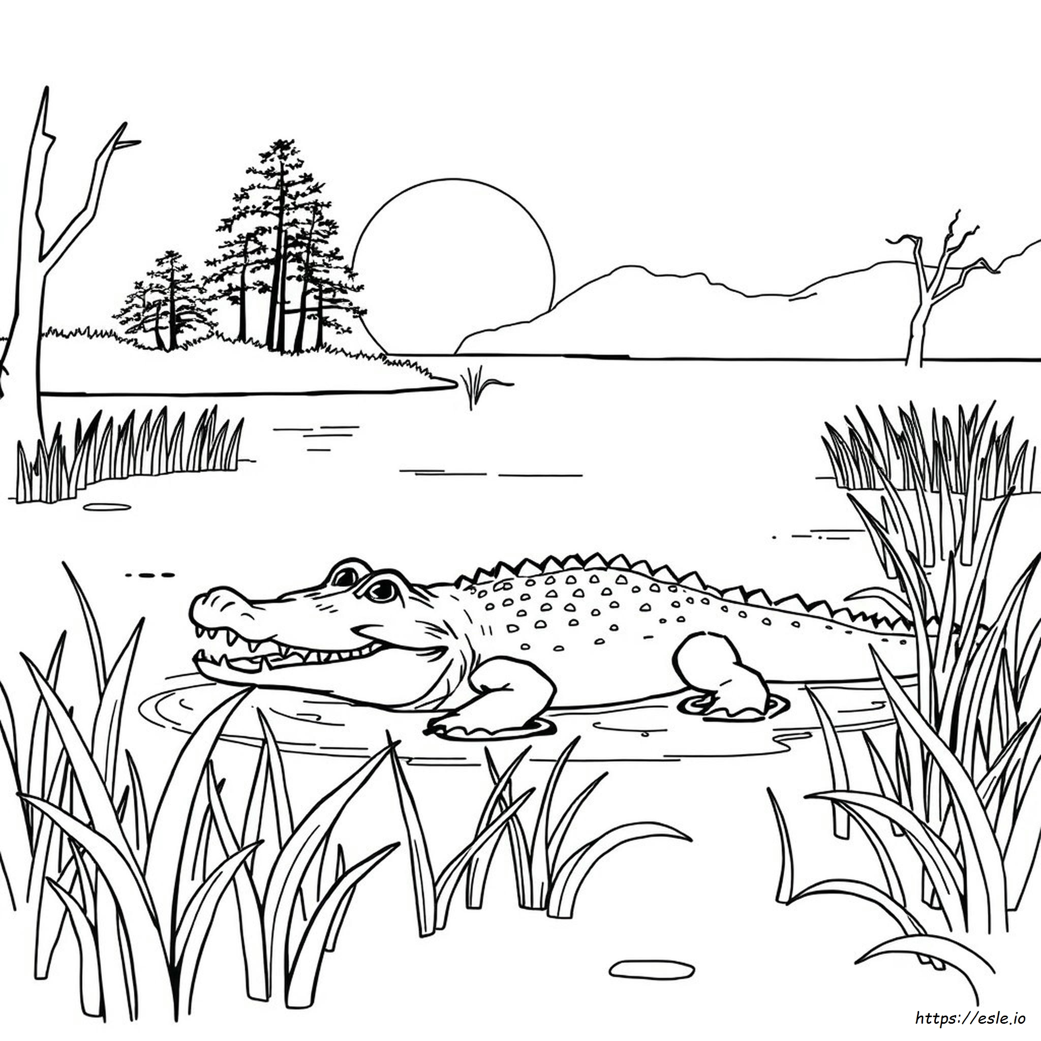 Free Coloring Pages Of Alligators