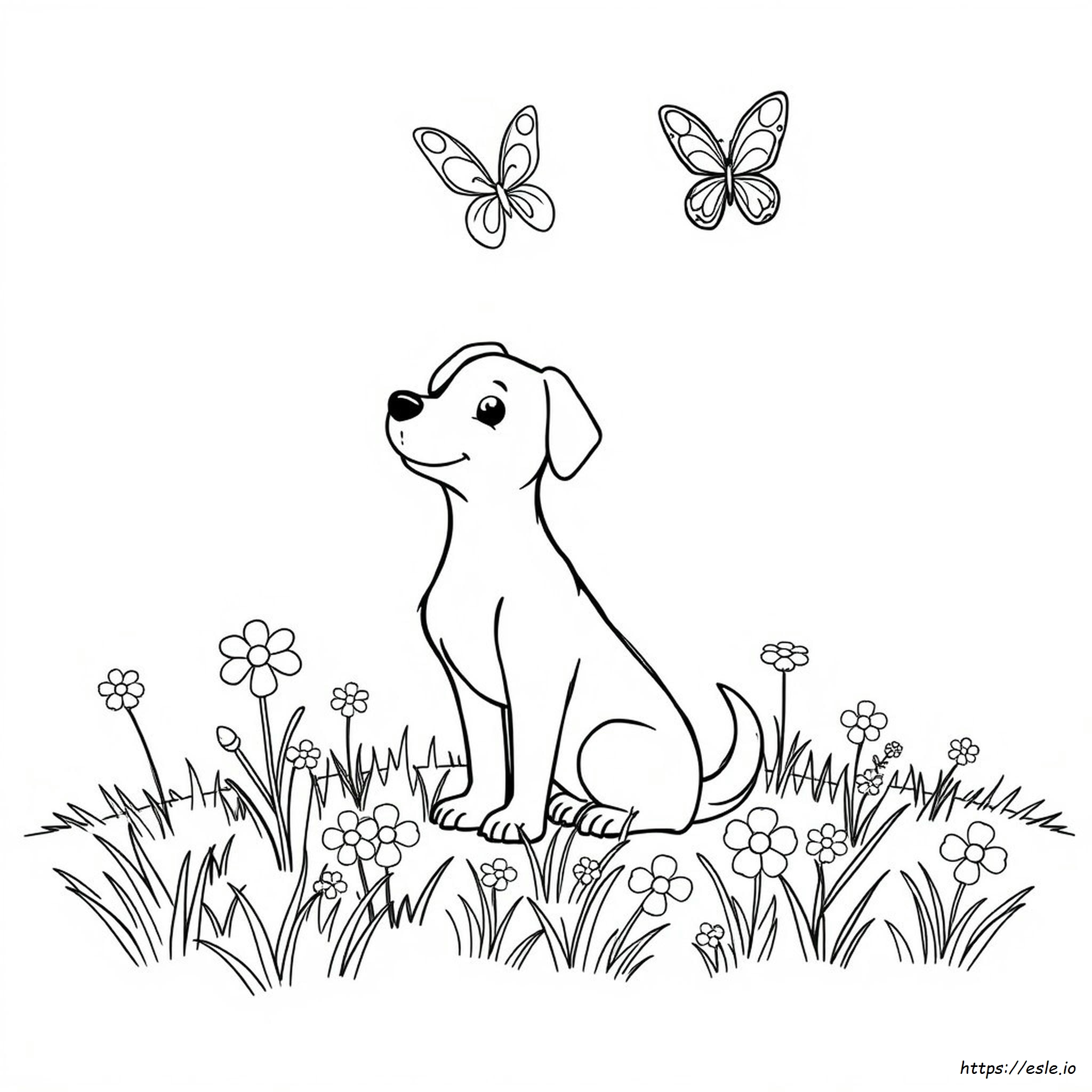 Dog Coloring Pages Tiktok