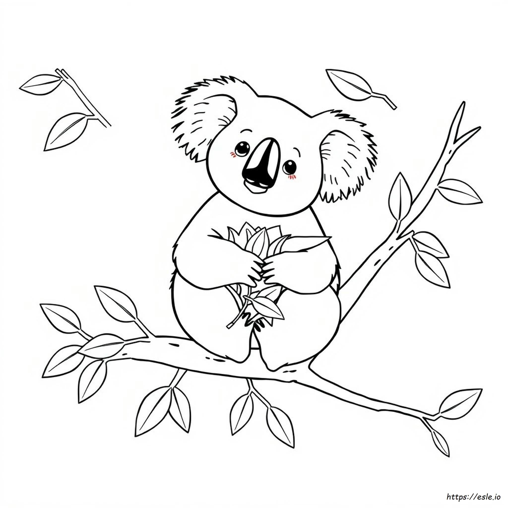Koala Bear Colouring Pages