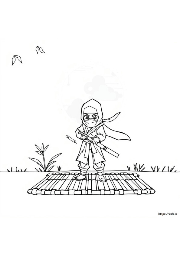 Ninja Kleurplaat