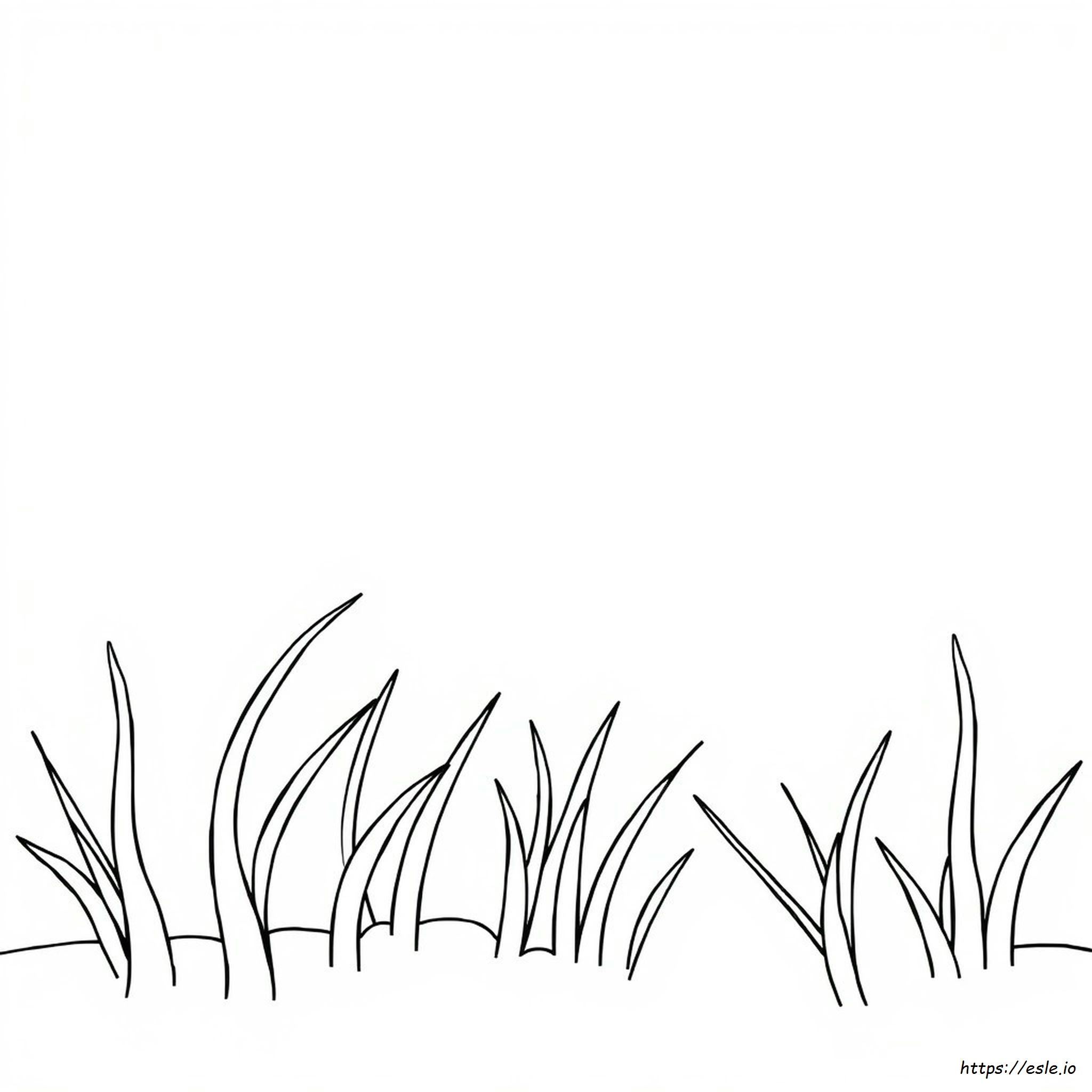 Largo Y Corto Para Colorear