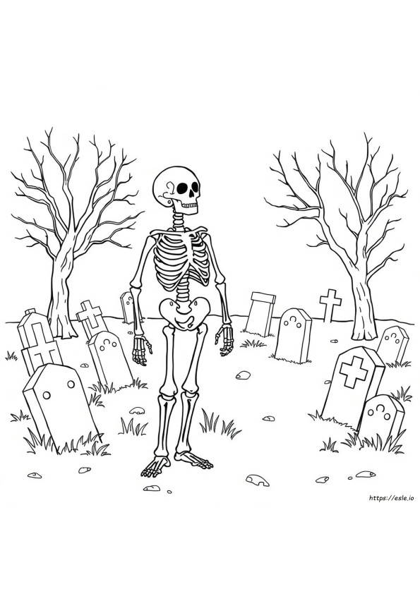 Esqueleto Para Colorir