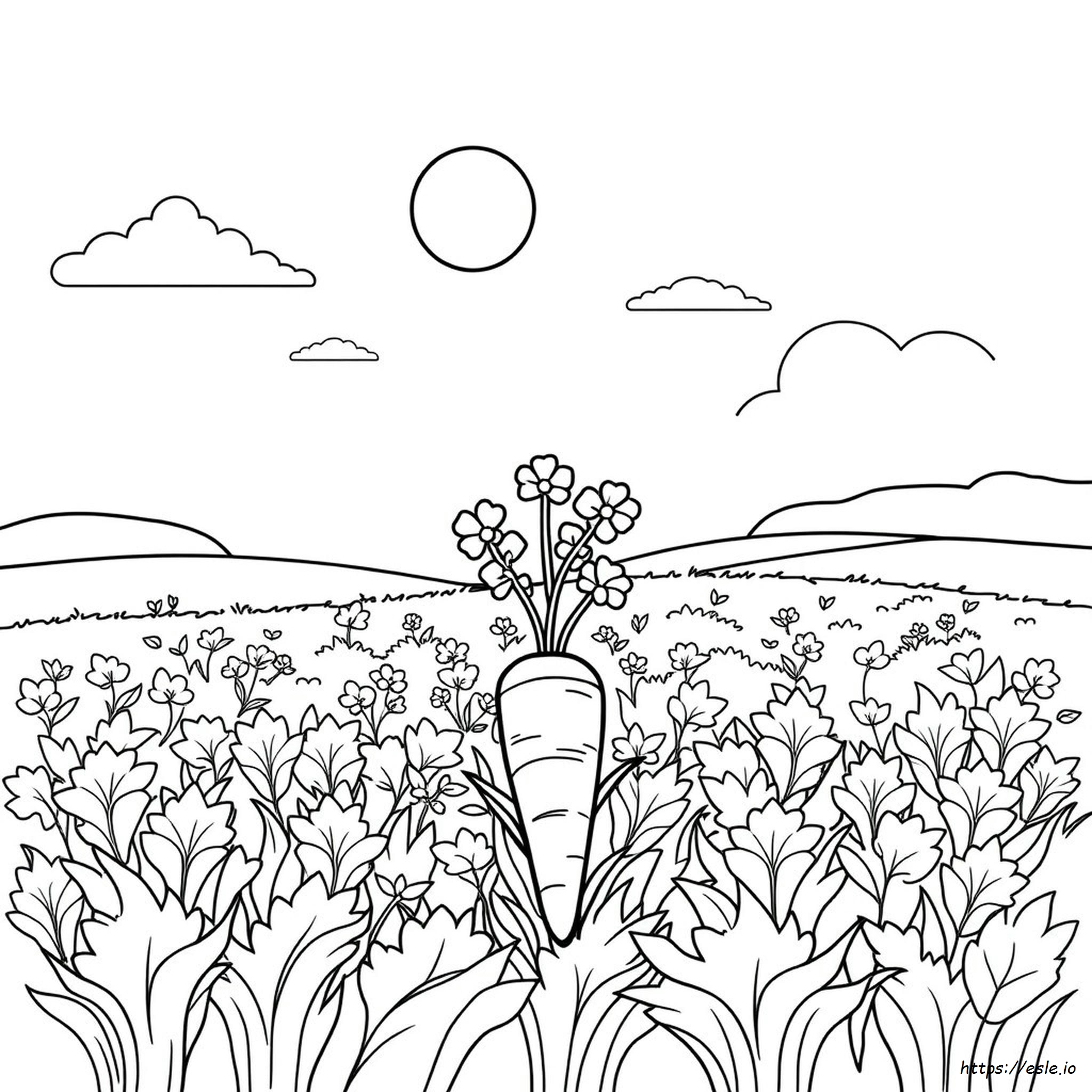 Carrot Colouring Images