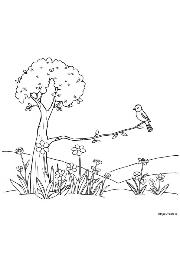 Gambar Indah Untuk Mewarnai