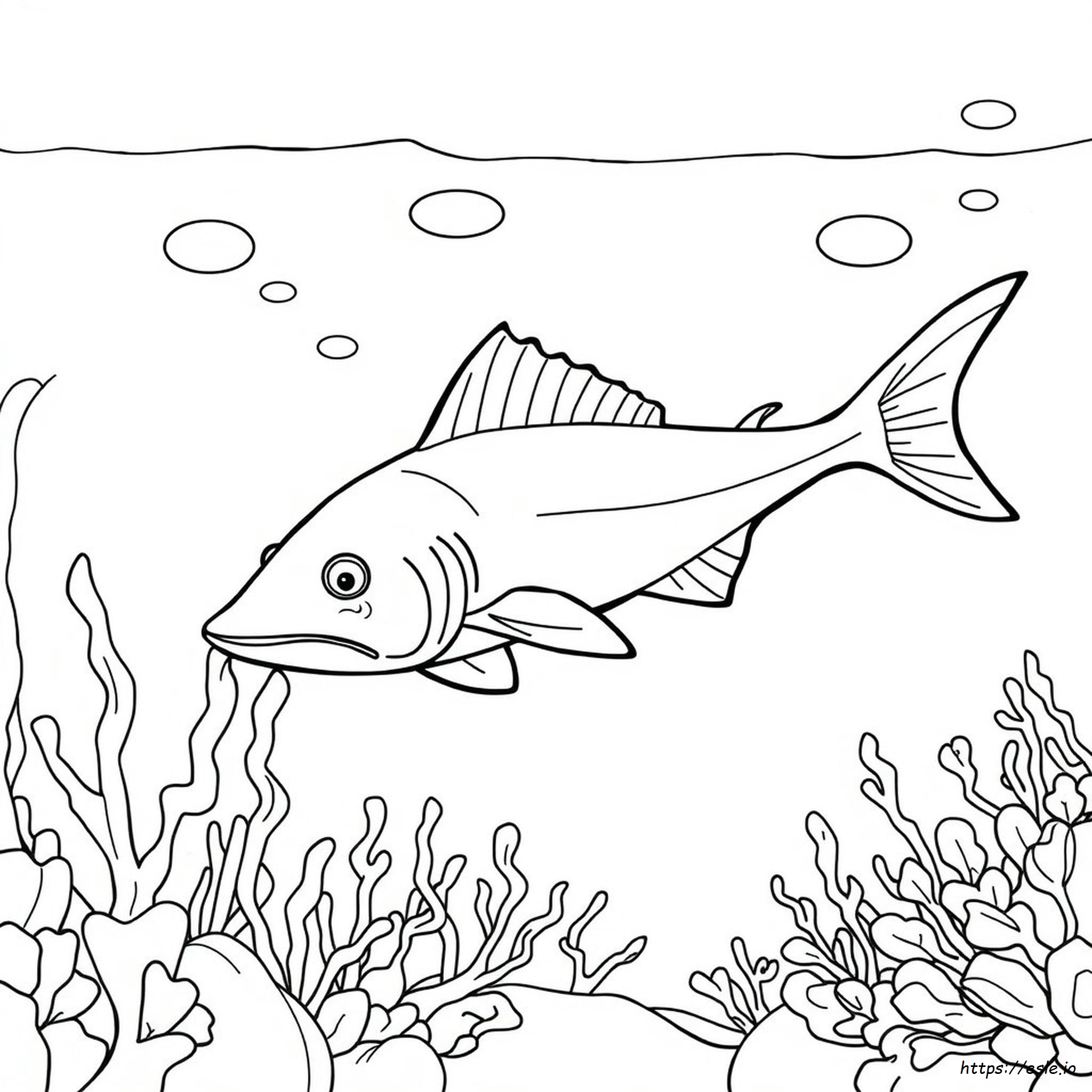 Pesce Sega Da Colorare
