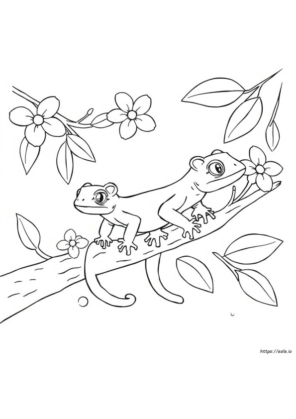 Really Really Really Cute Geckos Coloring Page