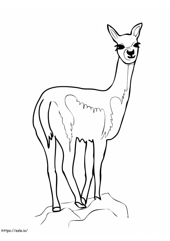 Cute Vicuna coloring page