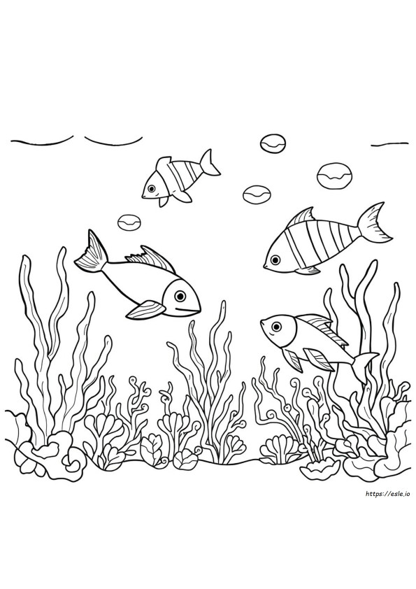 Coloriages À Imprimer Animaux Marins