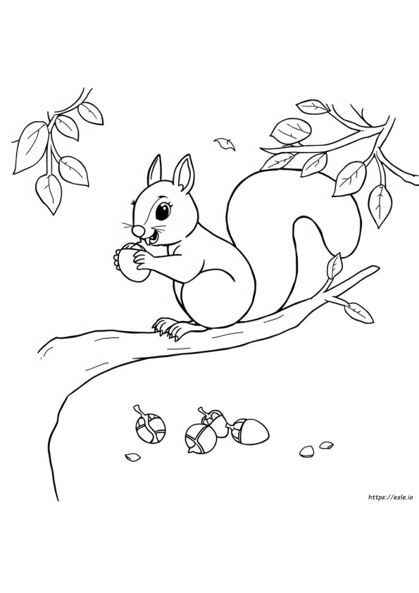 Coloring Squirrel Eating Nuts Drawing