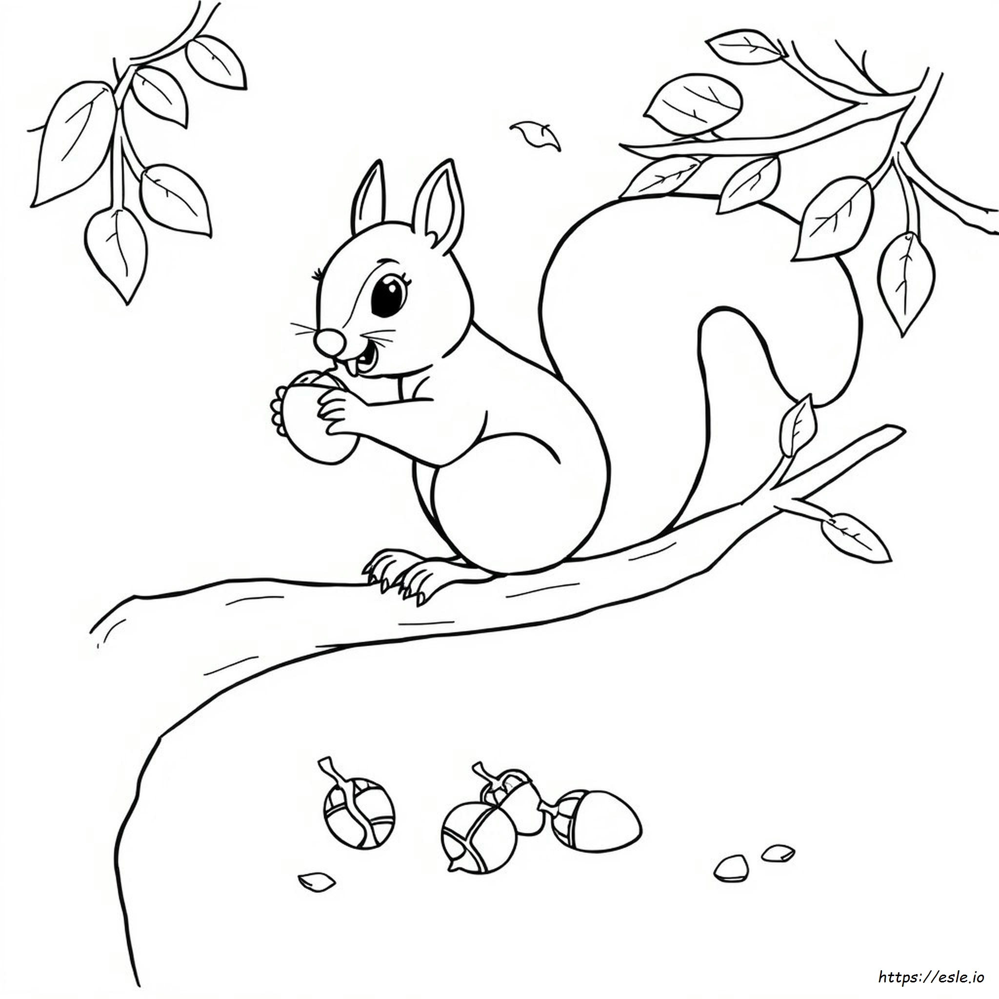 Coloring Squirrel Eating Nuts Drawing