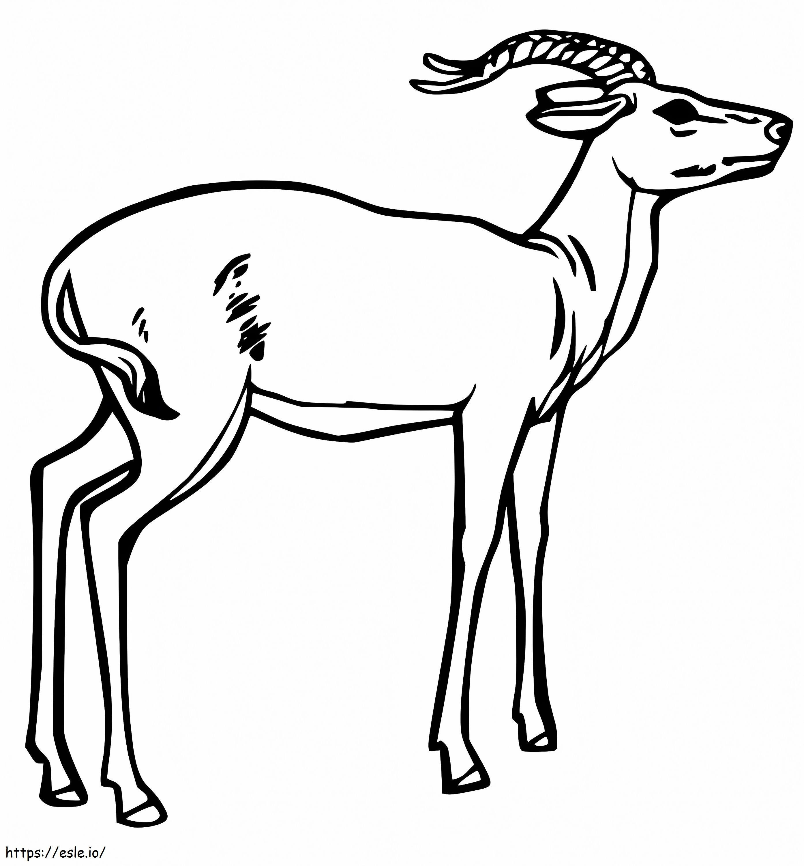 Free Impala coloring page