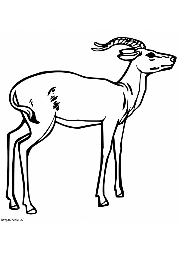 Impala libera da colorare