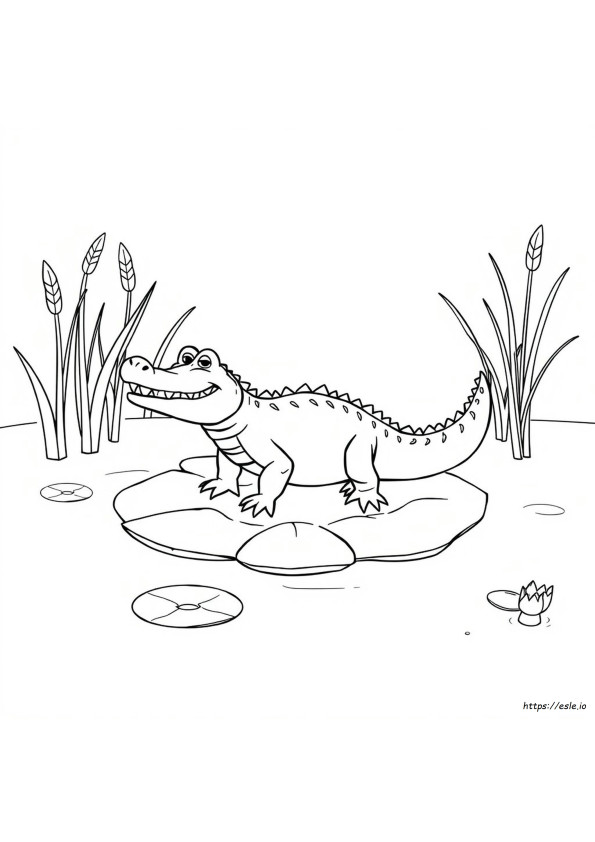 Alligator Coloring Picture