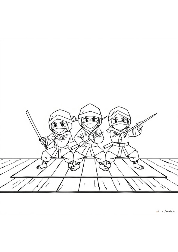 Ninja Kidz De Colorat