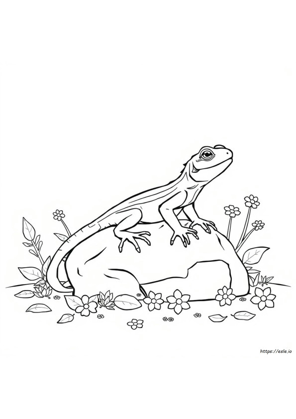 Lagarto Para Colorir Grátis