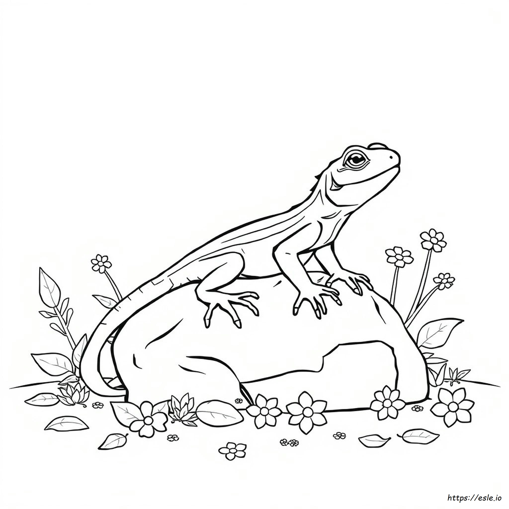 Free Lizard Coloring Pages