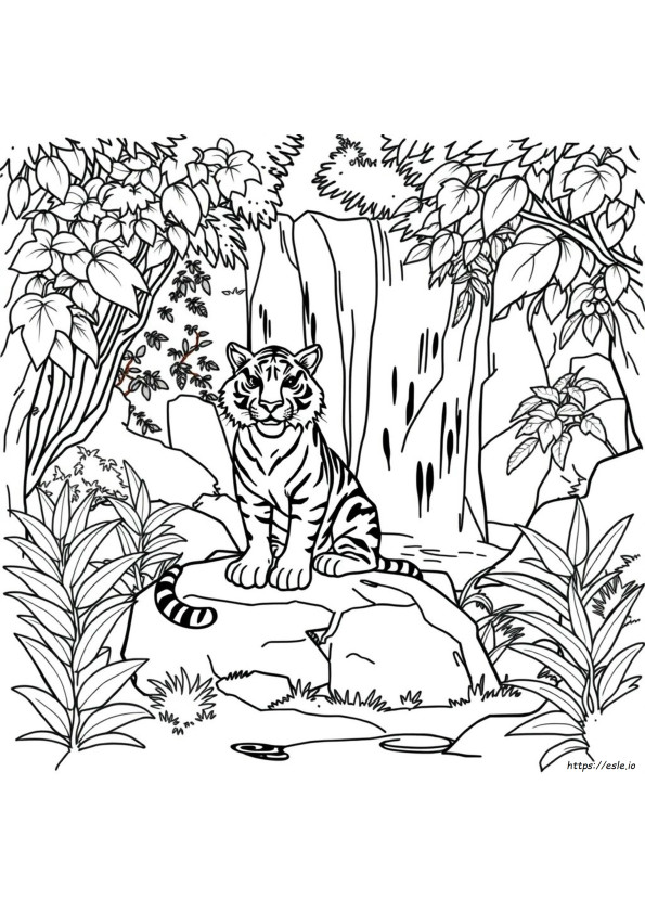 Tigre Da Colorare