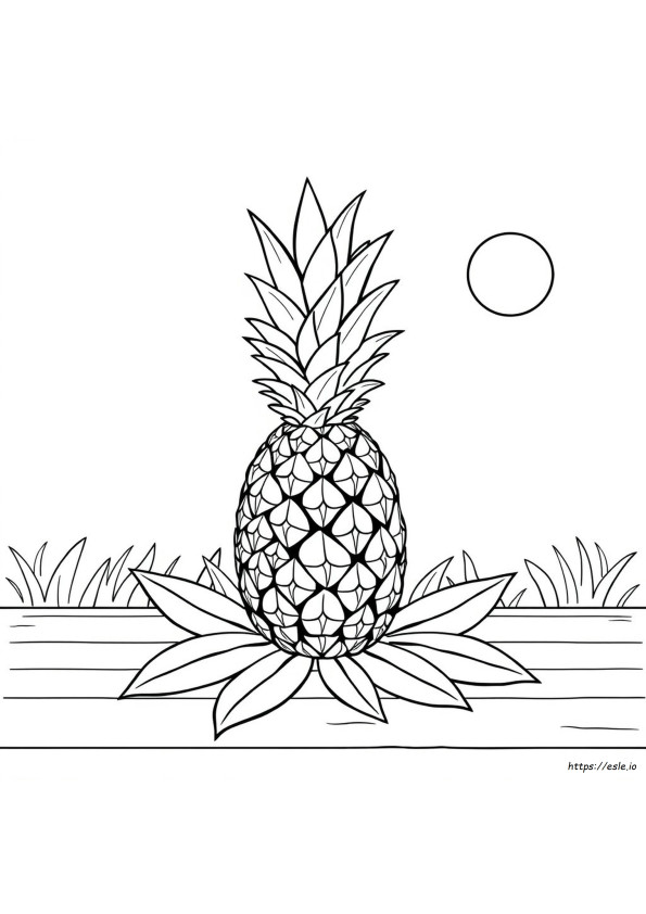 Pineapple For Colouring