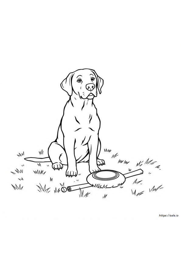 Labrador Para Colorear