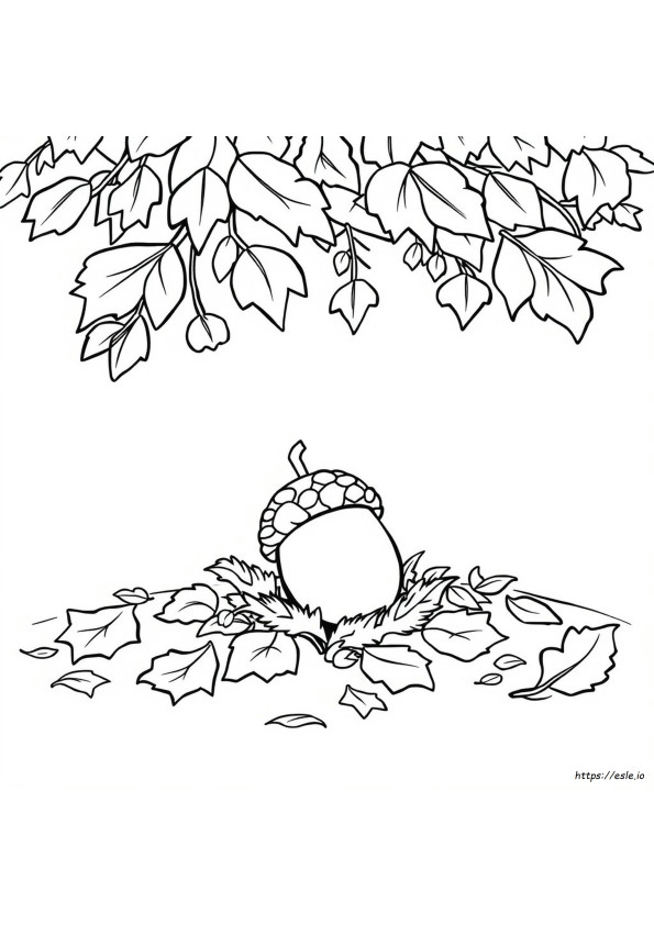 Acorn Coloring Sheet