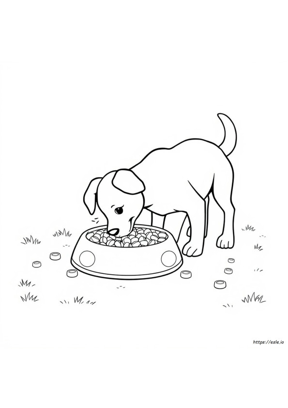 Makanan Anjing Gambar Mewarnai