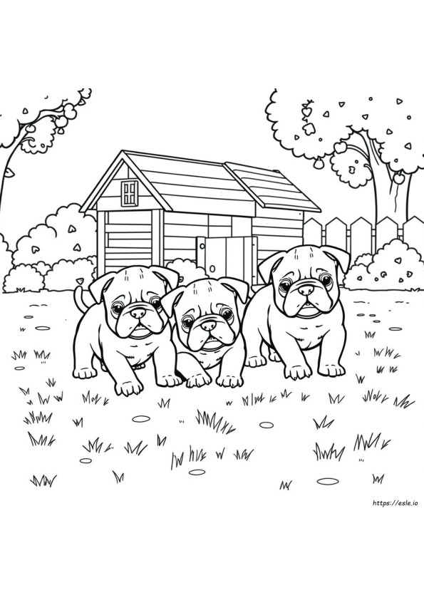 Anak Anjing Bulldog Gambar Mewarnai