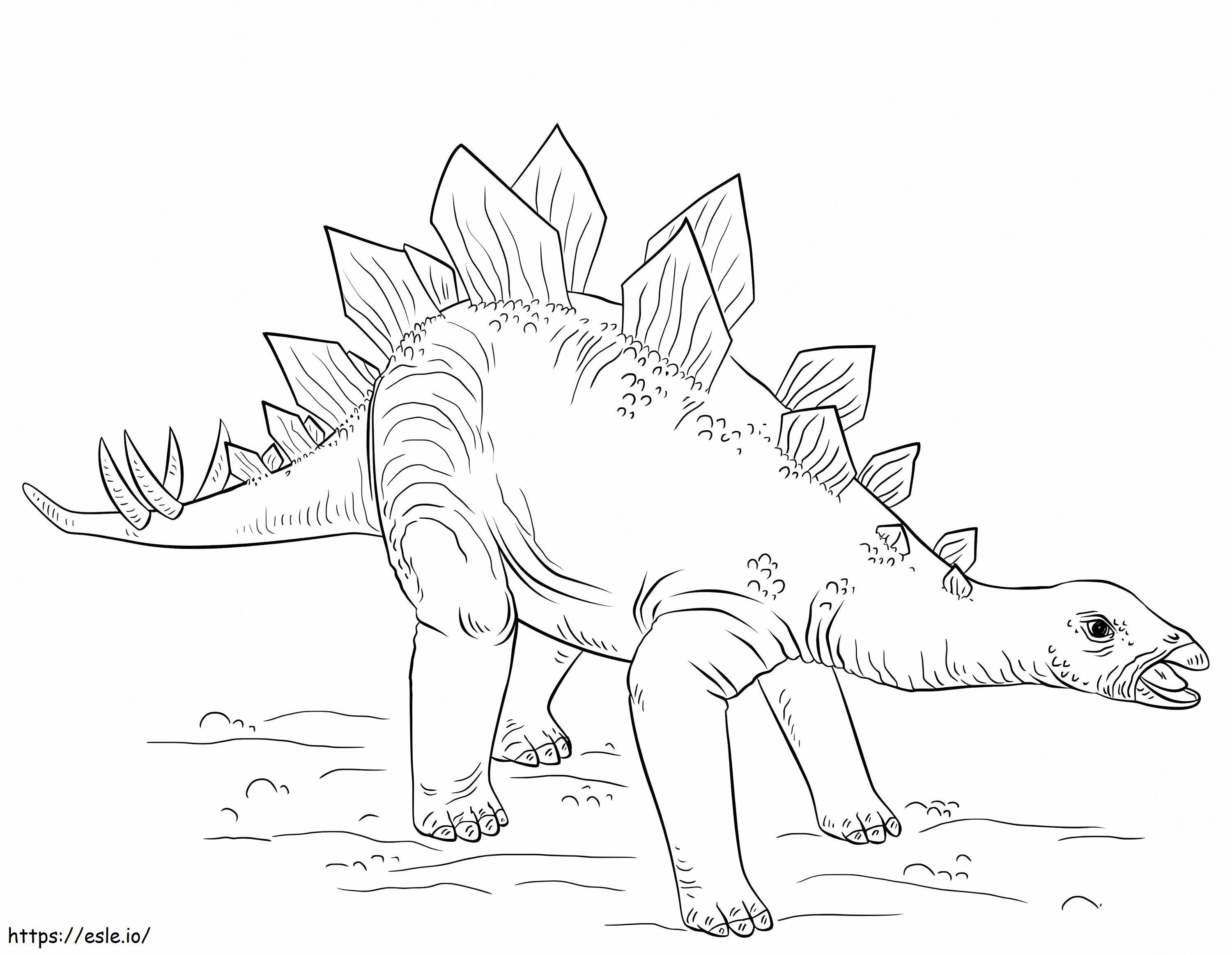 Genç Stegosaurus boyama
