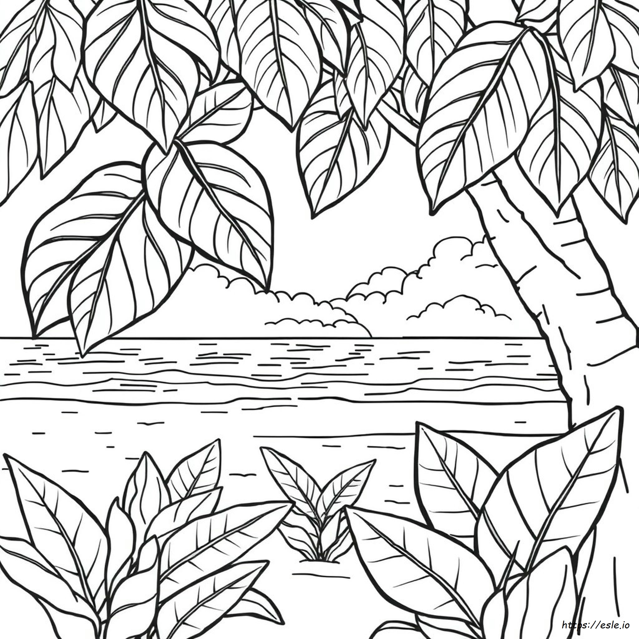 Hojas Tropicales Para Colorear