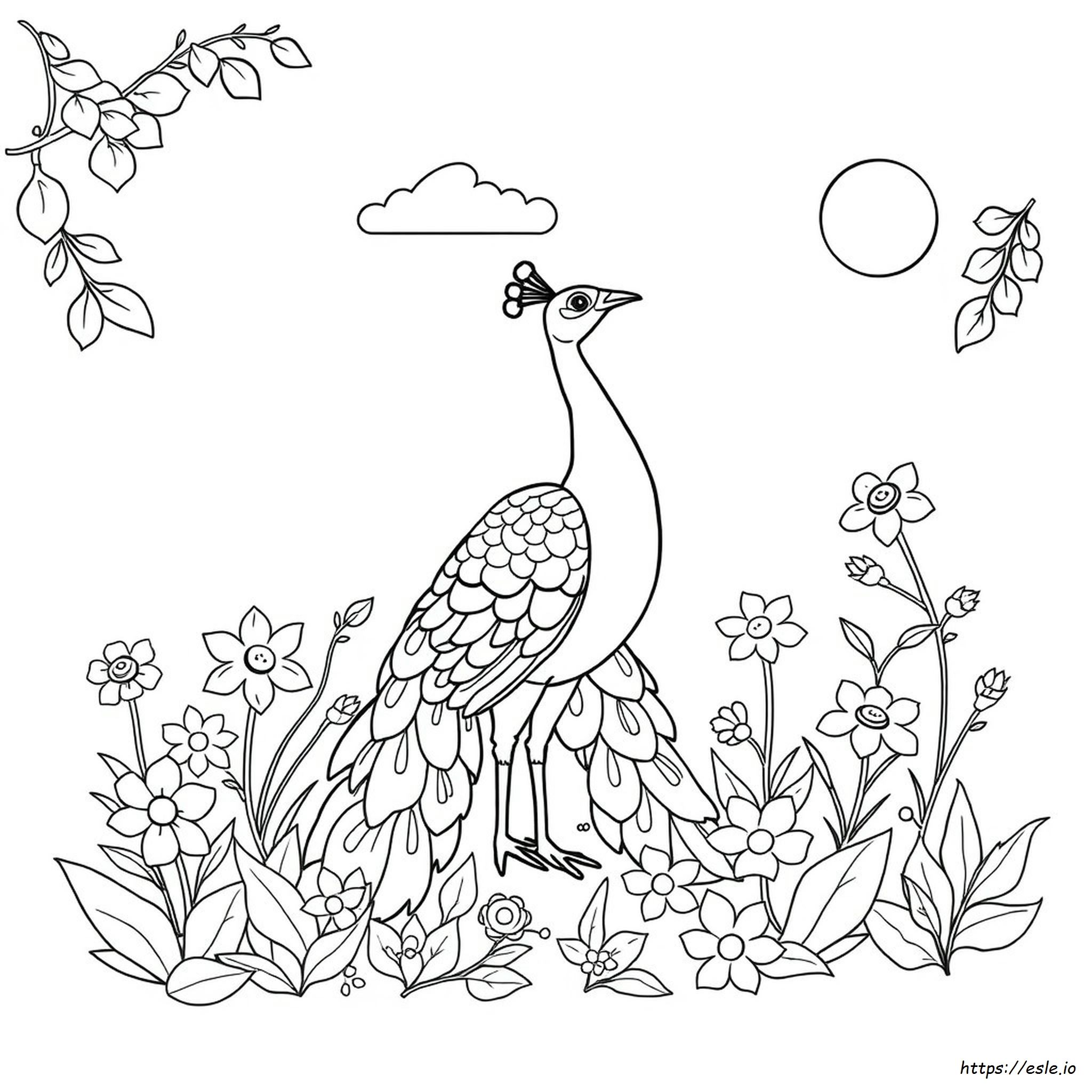 Coloring Pages Of Peacock