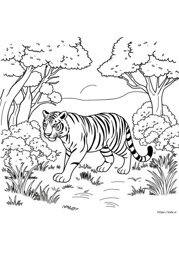Disegno Di Tigre Da Colorare