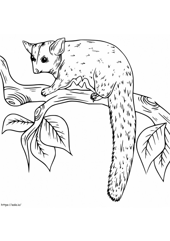 Sugar Glider On A Branch coloring page