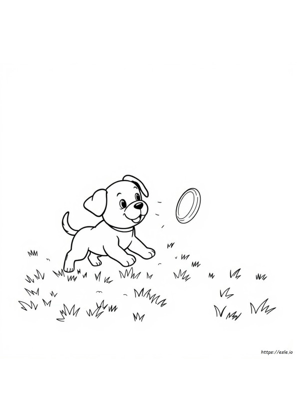 Gambar Mewarnai Anak Anjing