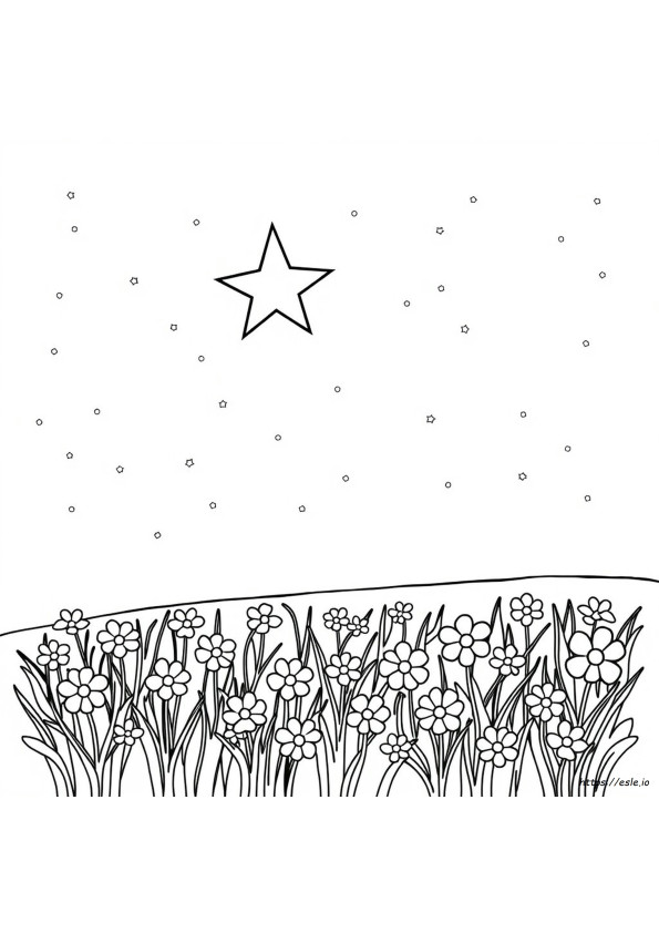 Template Star Coloring Page