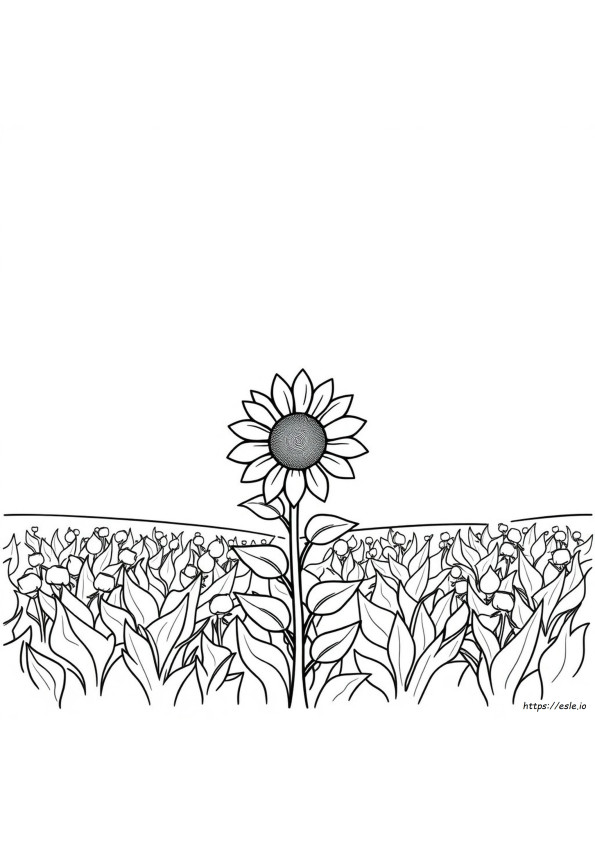 Coloring Pages Easy To Draw