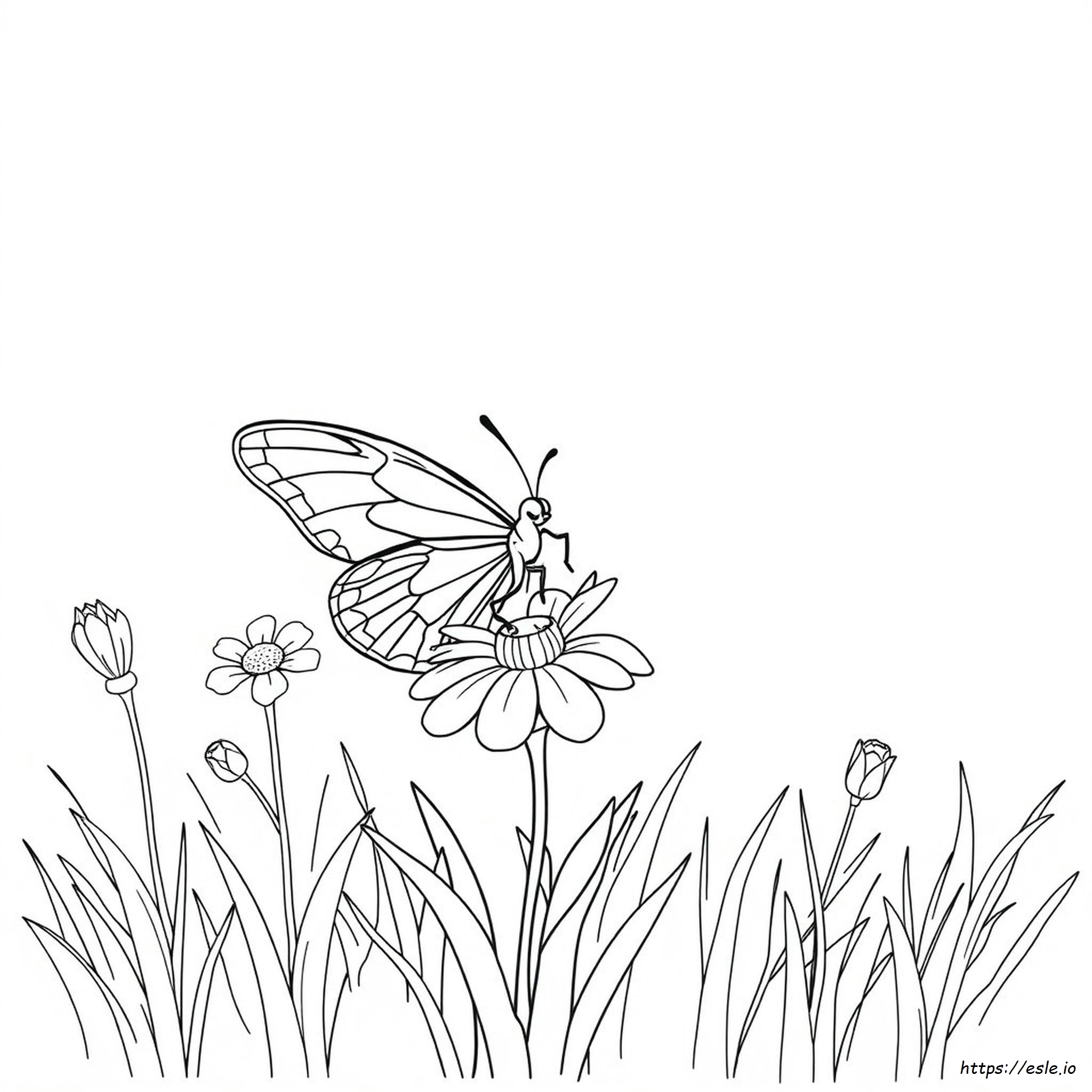 Imágenes De Mariposas Para Colorear