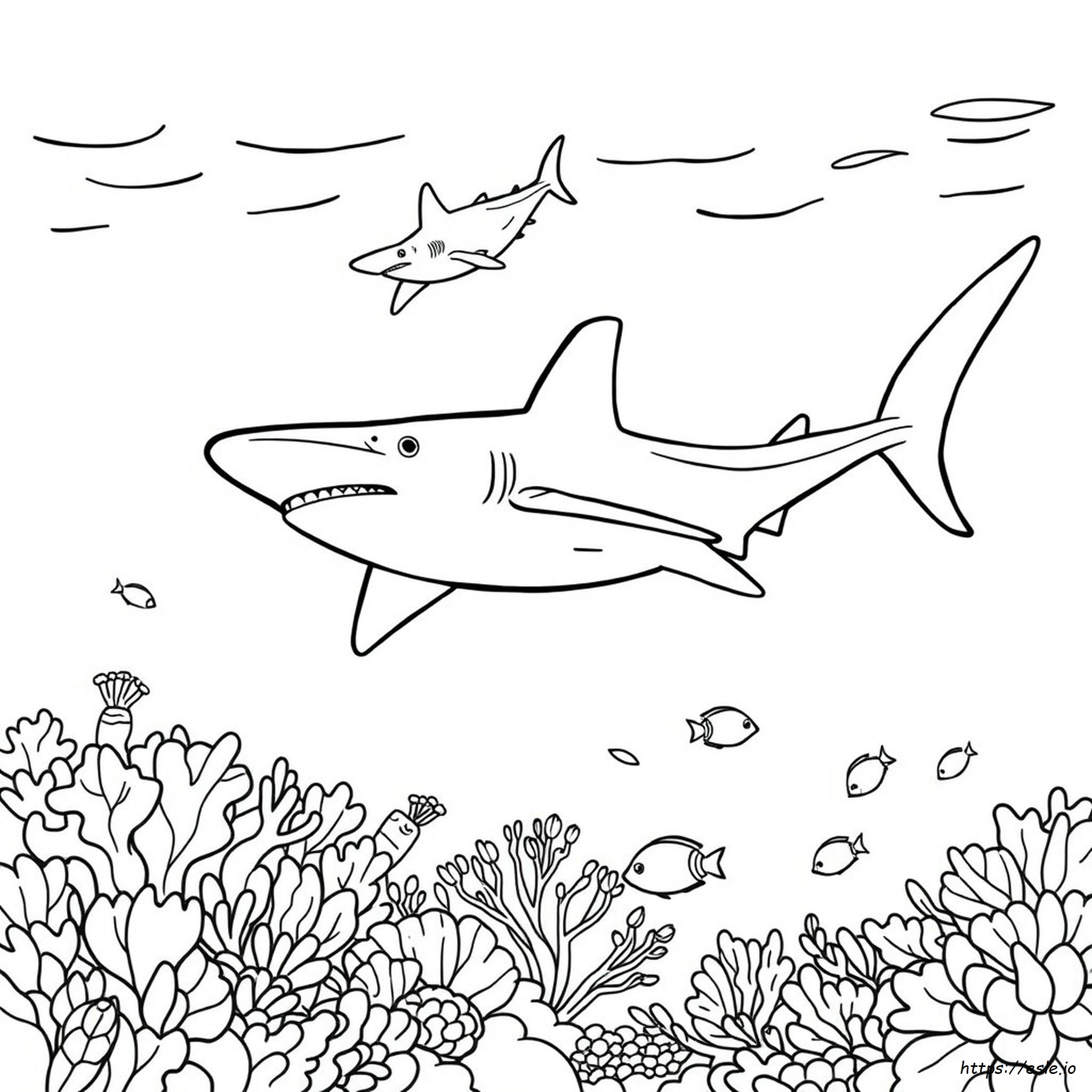 Hammerhead Shark Coloring Sheet