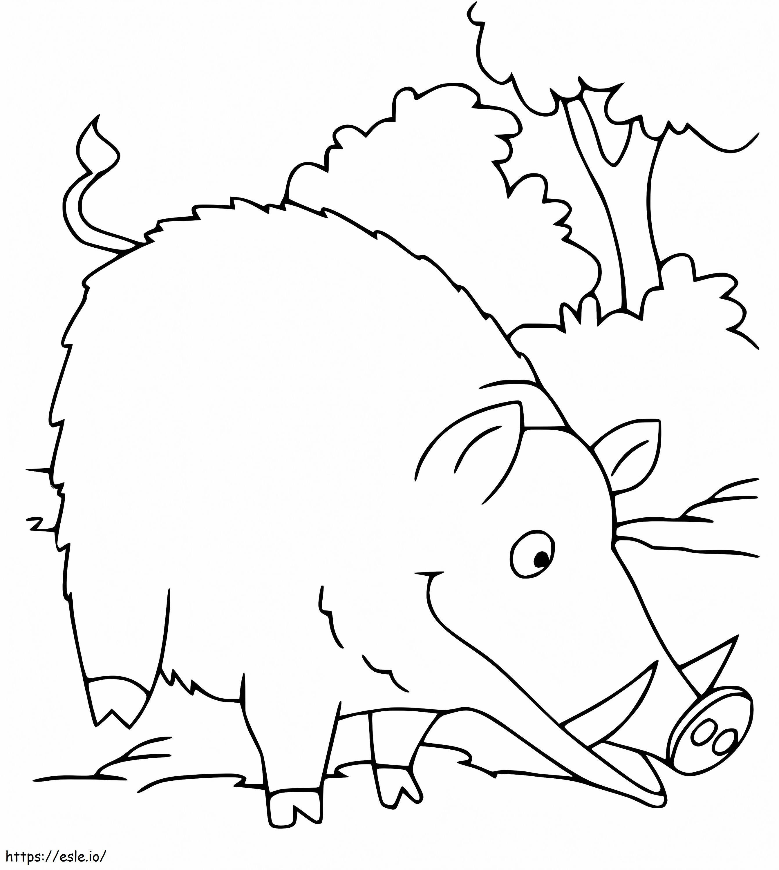 Basic Wild Board coloring page
