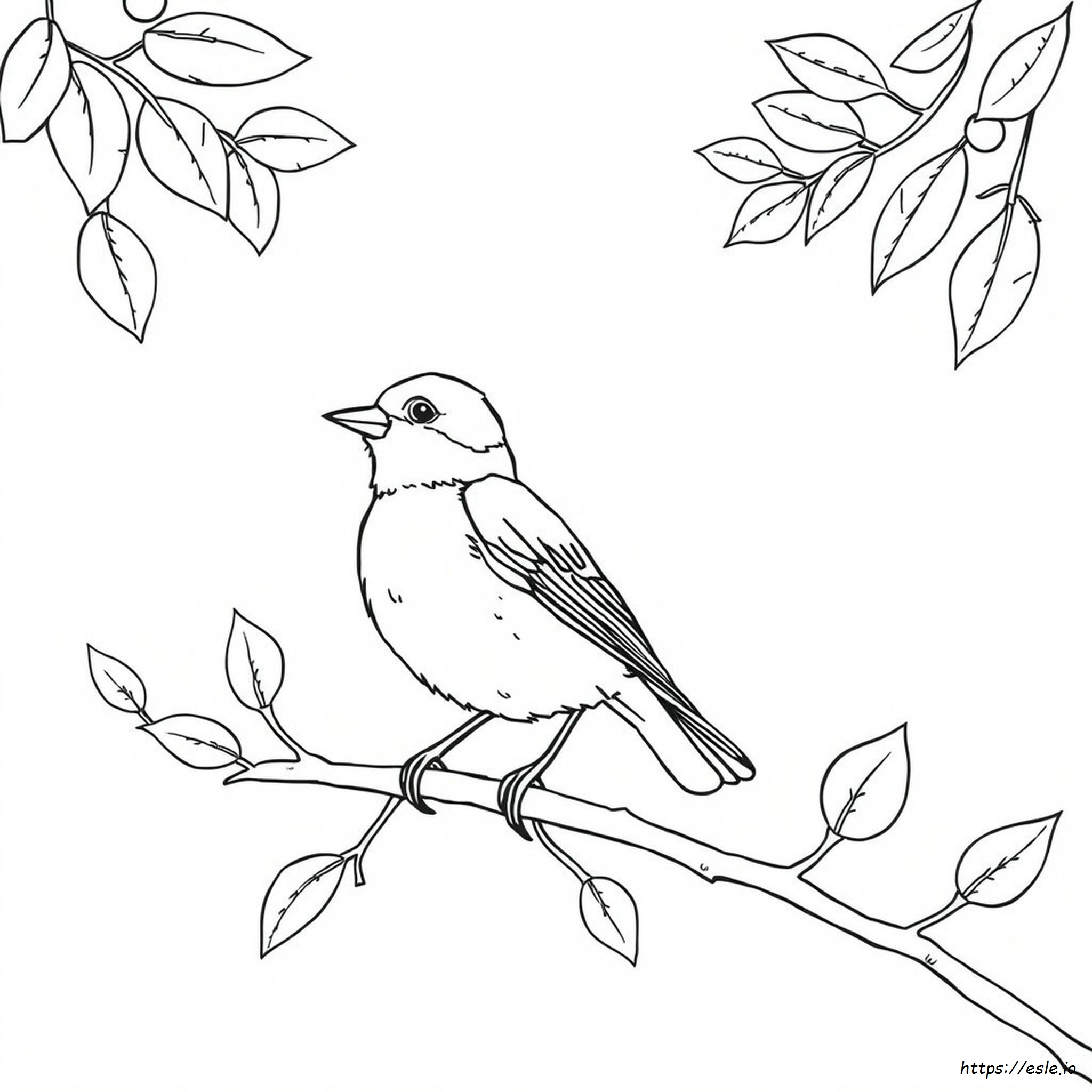 Colouring Picture Of Sparrow