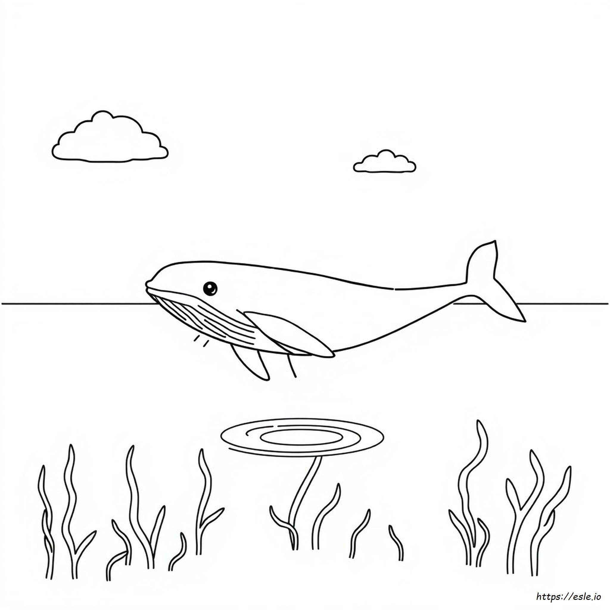 Coloring Page Of A Whale