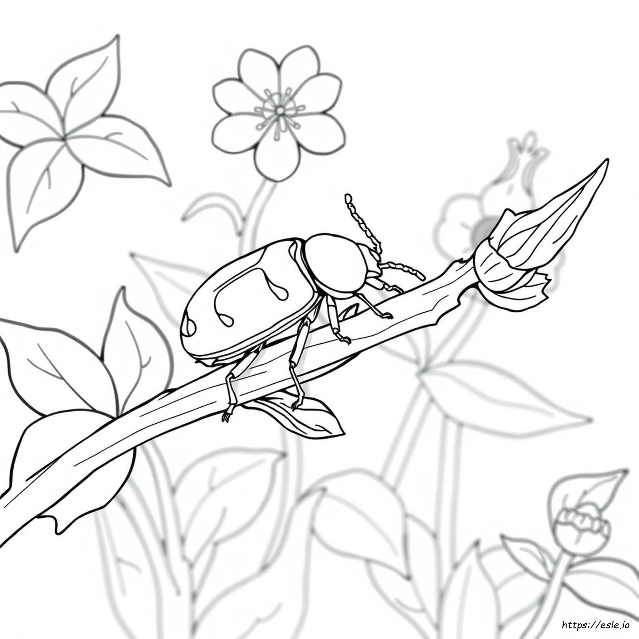 Realistic Beetle Coloring Page