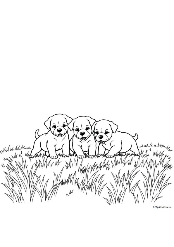 Anjing Dewasa Gambar Mewarnai