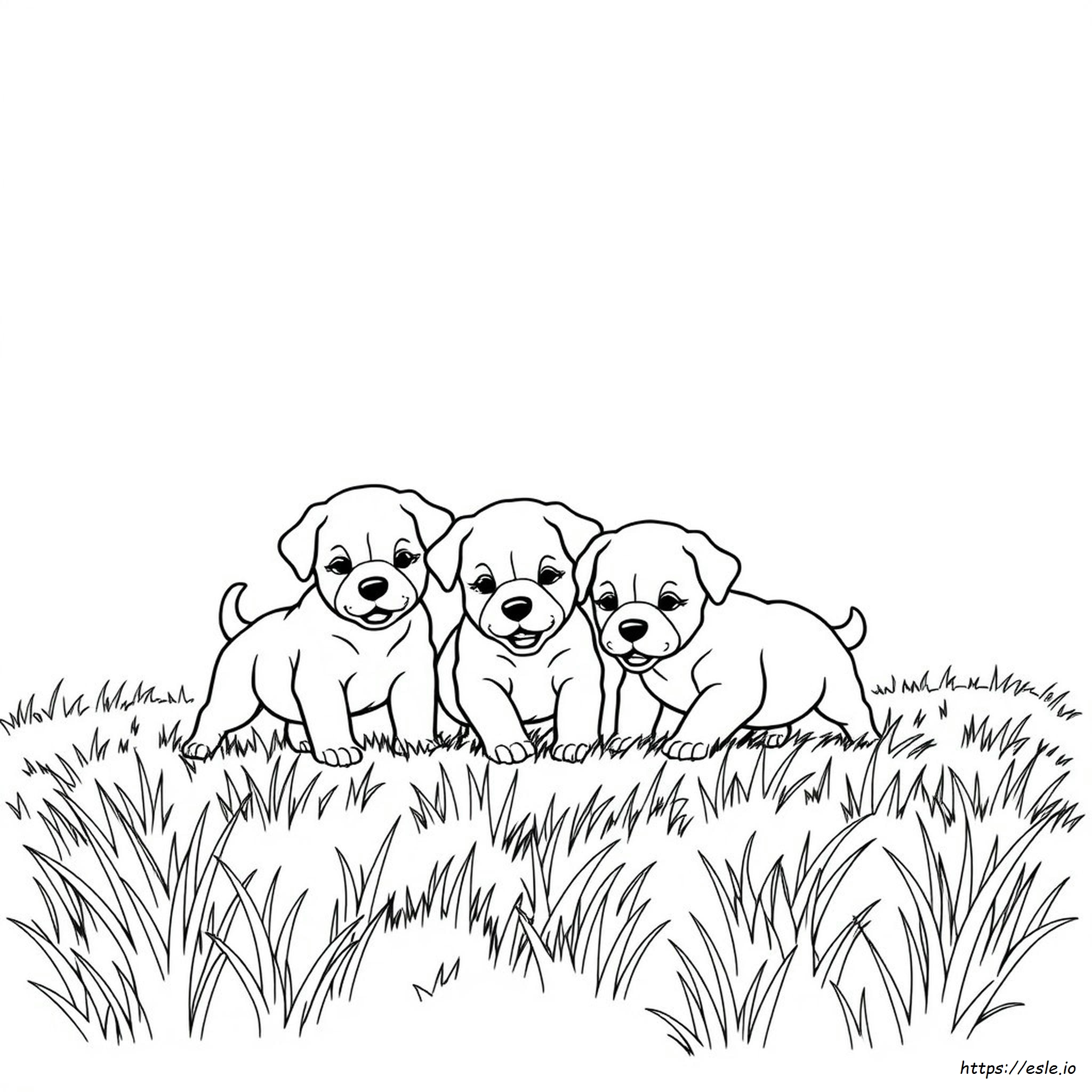 Páginas Para Colorear De Cachorros Para Adultos