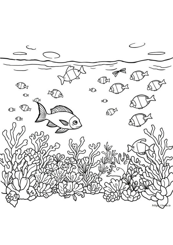 Coloriage Vie Marine