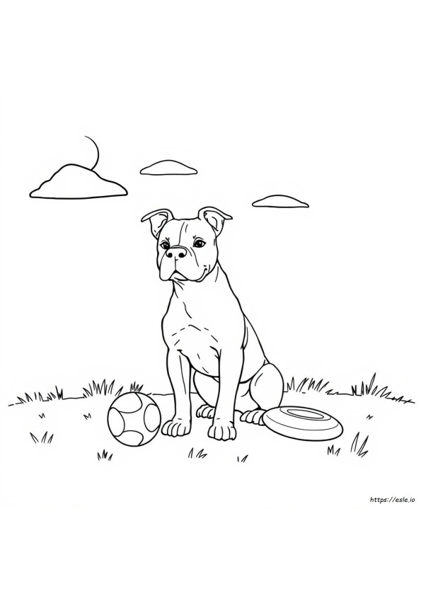Coloriages Pitbull Faciles