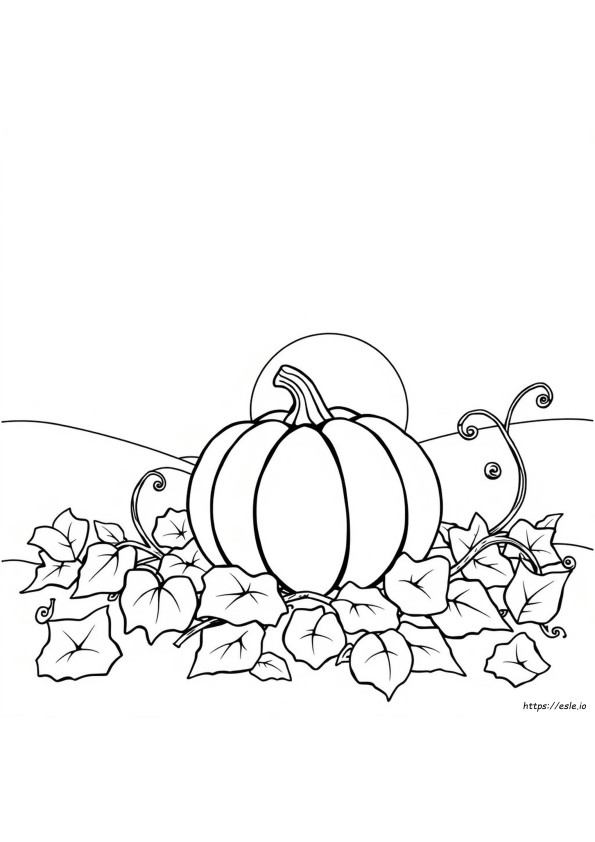 Coloriages Citrouille Gratuits À Imprimer Pdf