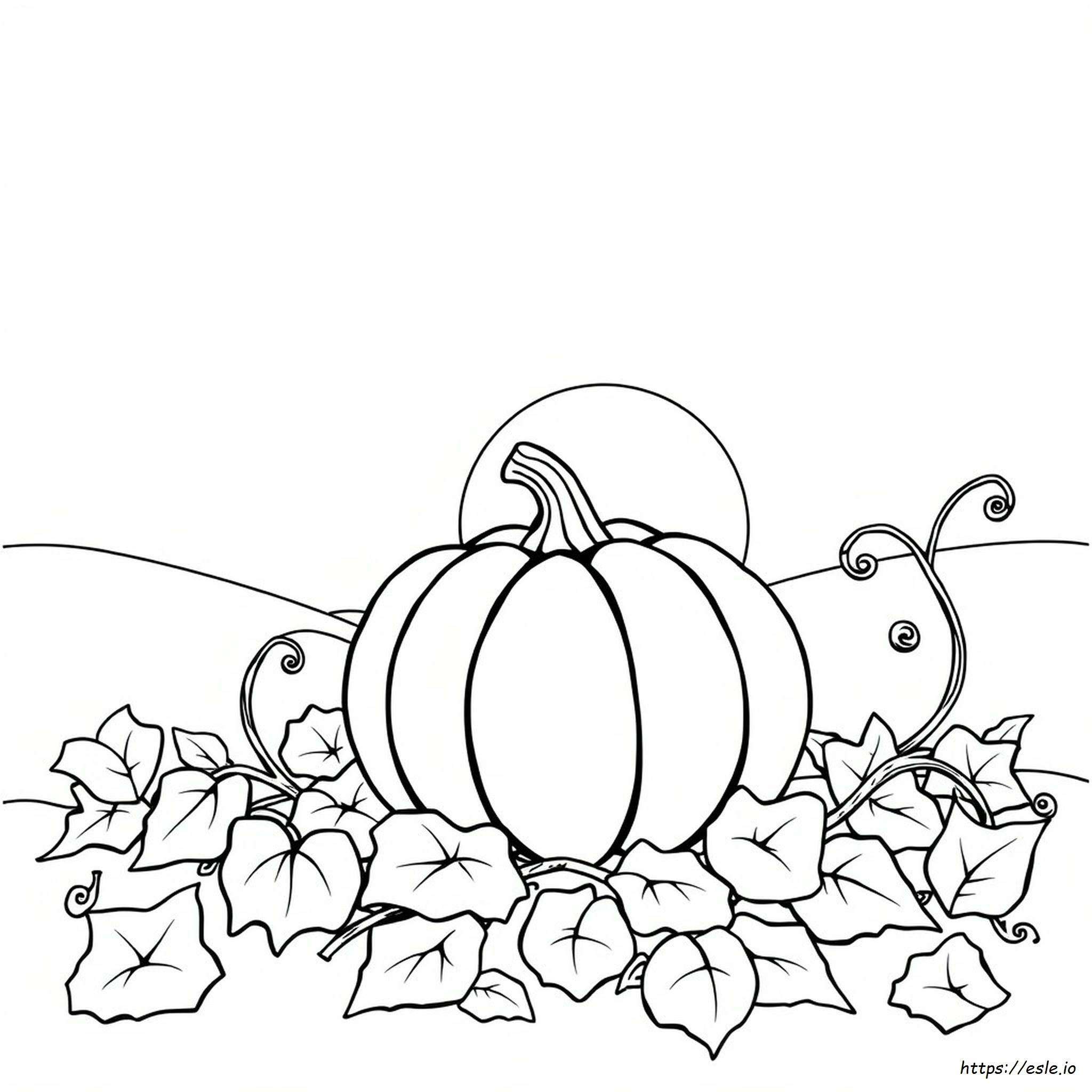 Pumpkin Coloring Pages Free Pdf