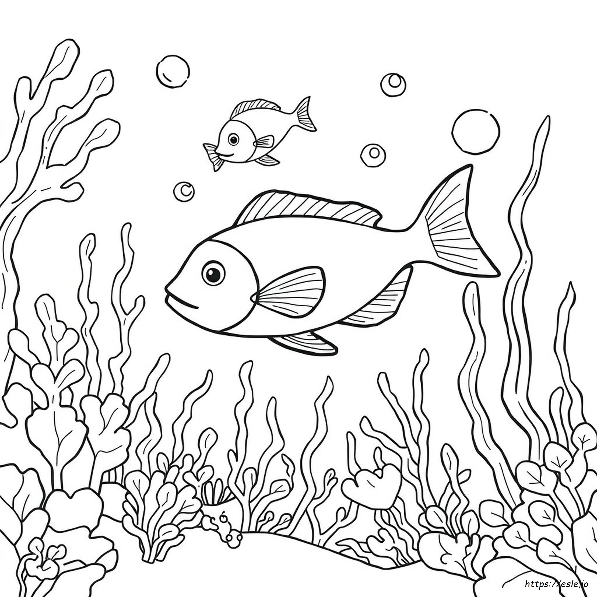 Pesce Da Colorare Png