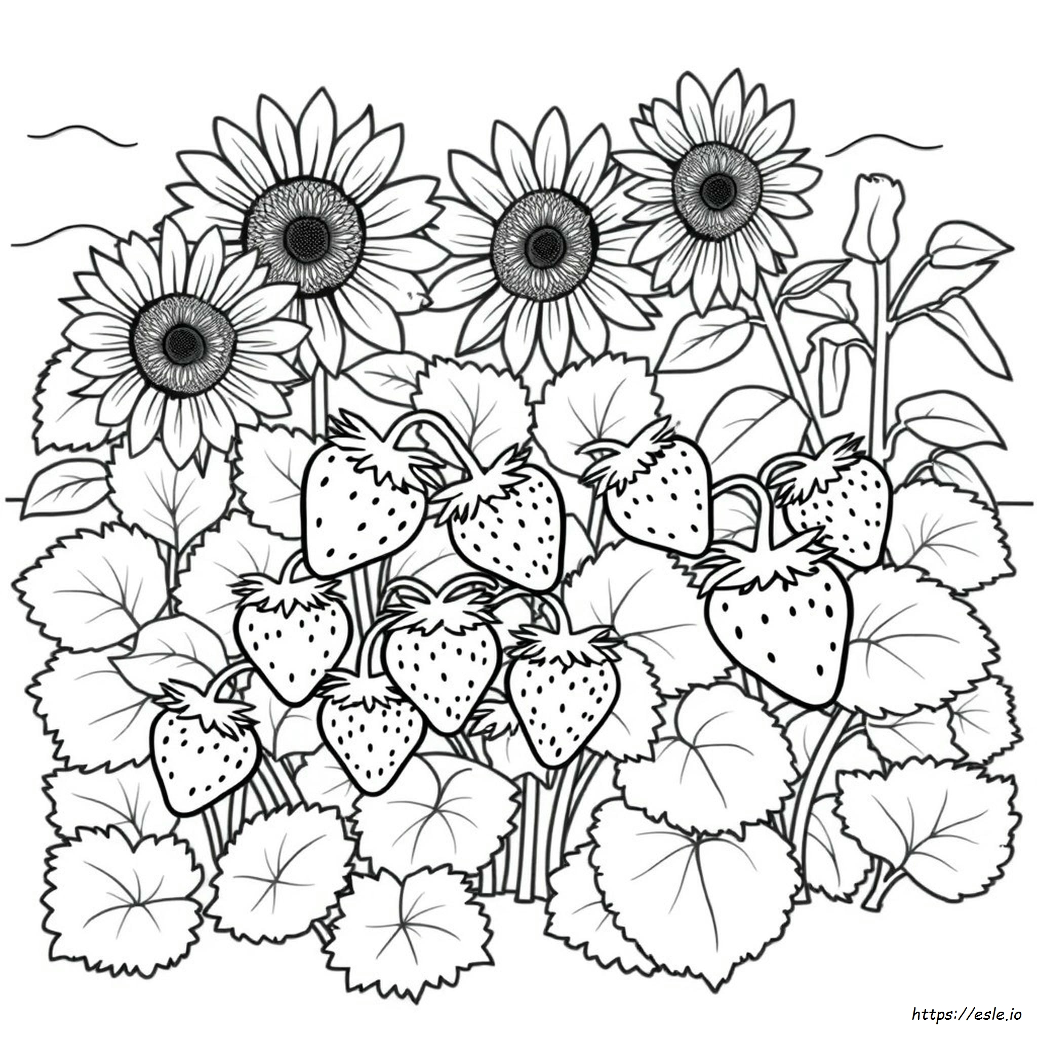 Strawberry Coloring Pages For Preschoolers