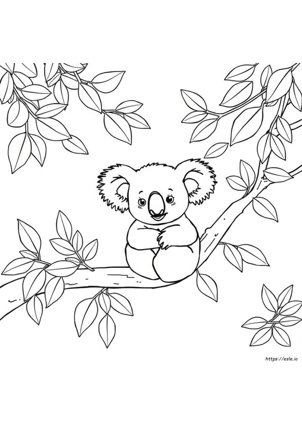 Kolay Koala Boyama Sayfaları